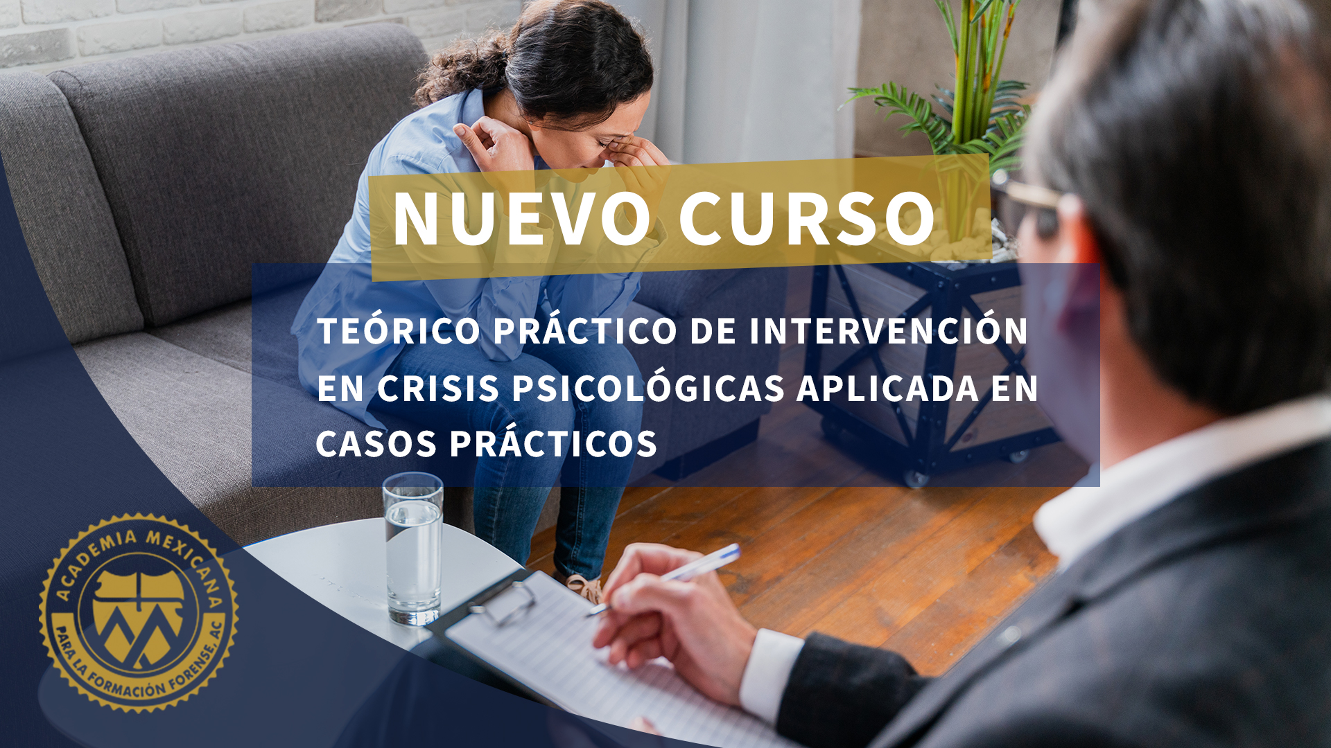 Curso Teórico Práctico De Intervención En Crisis Psicológicas Aplicada En Casos Prácticos
